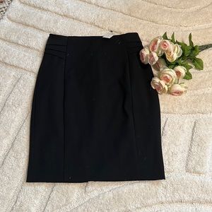 NWT Express Skirt